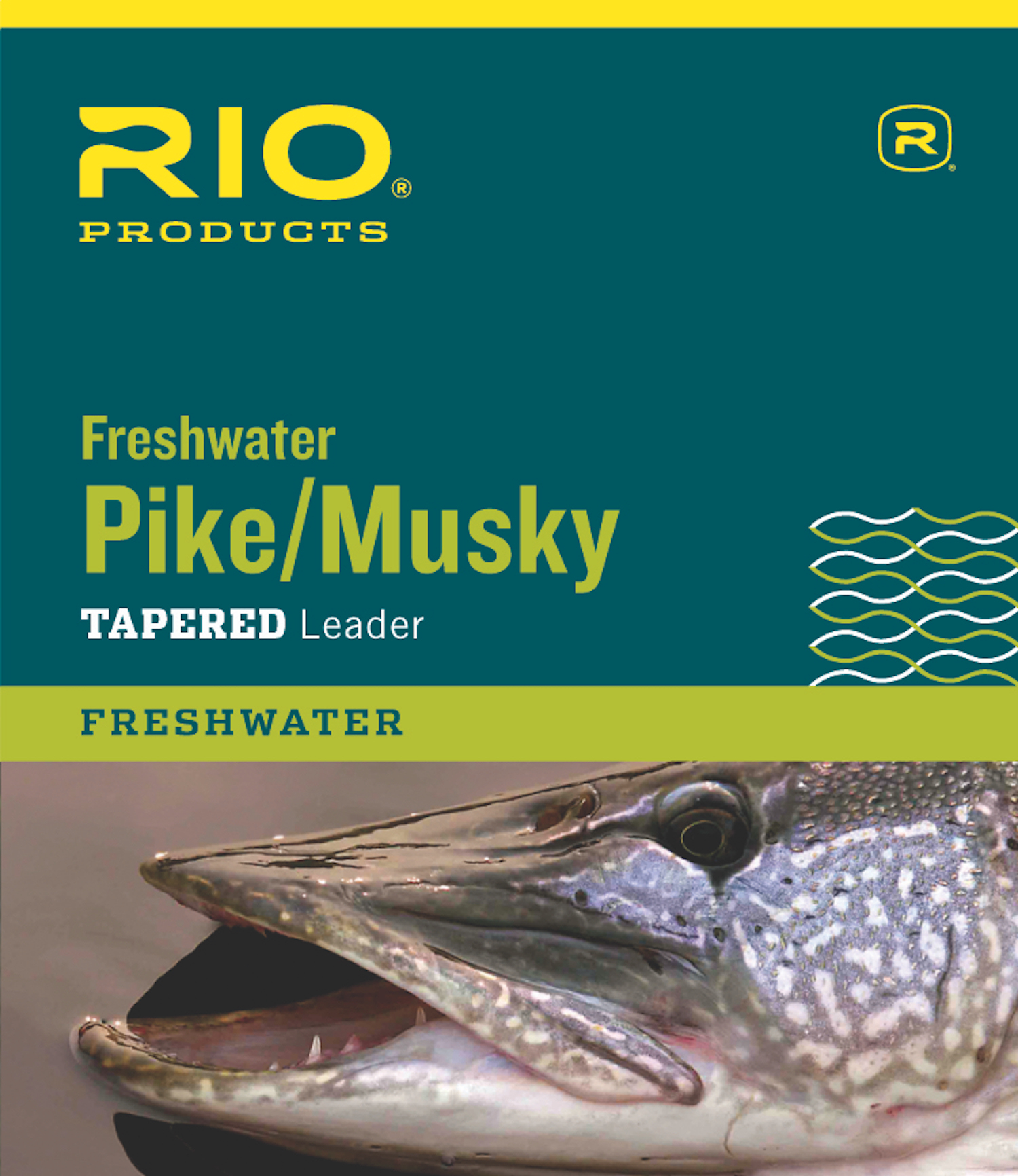 RIO Pike Musky Leader Wire Fluoro Stealth 20LB 30LB 40LB 60LB 80LB Pickerel  2023